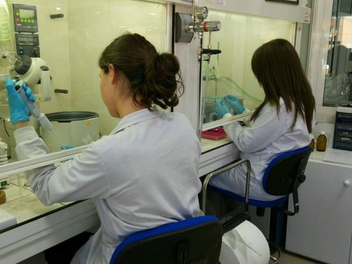 El Laboratorio Pecuario y la ULE, dispuestos para comenzar a realizar 500 PCR diarias este fin de semana