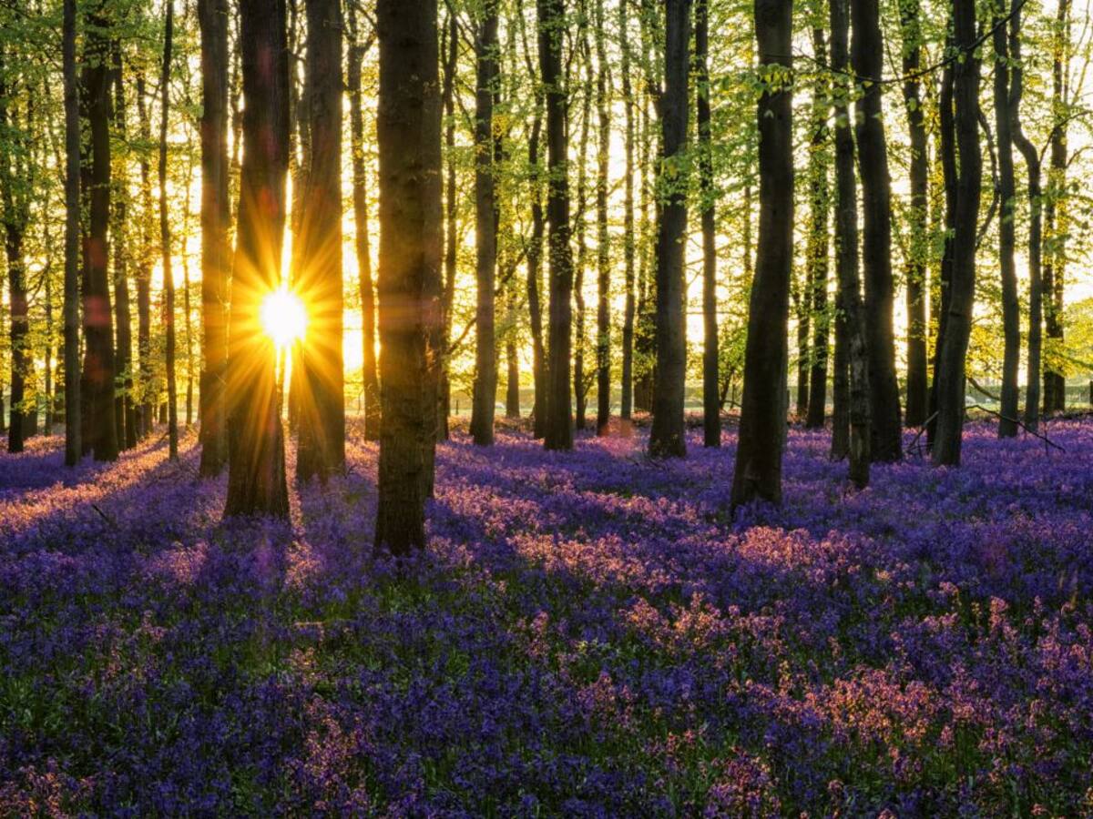 Goizargi, sobrevivir a la violencia de género.