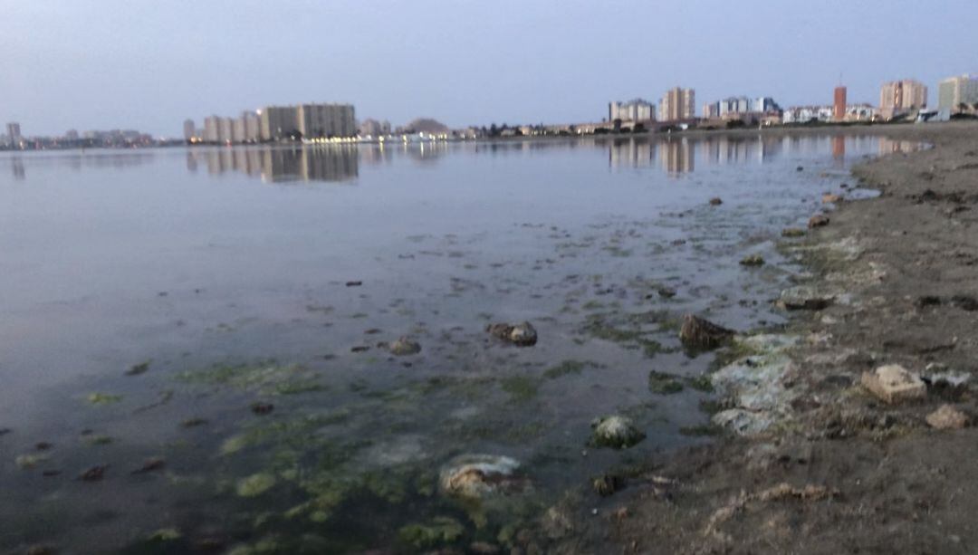 Orilla del mar en la playa del ZM a finales de febrero