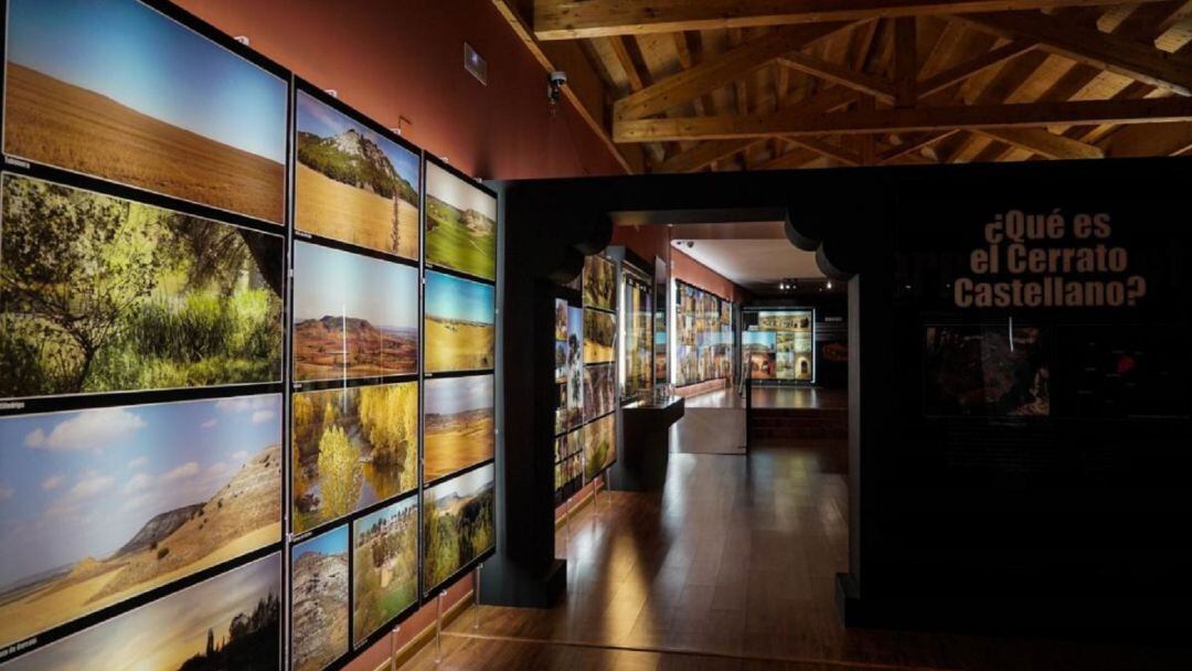 La Diputación afianza la apertura, mantenimiento y difusión del Museo del Cerrato Castellano de Baltanás