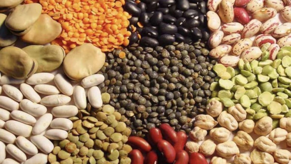 Las legumbres, un imprescindible para nuestra salud