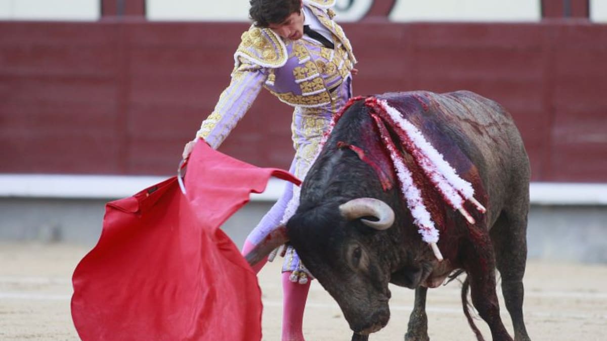 Sebastián Castella, el gran triunfador de la Feria de San Isidro