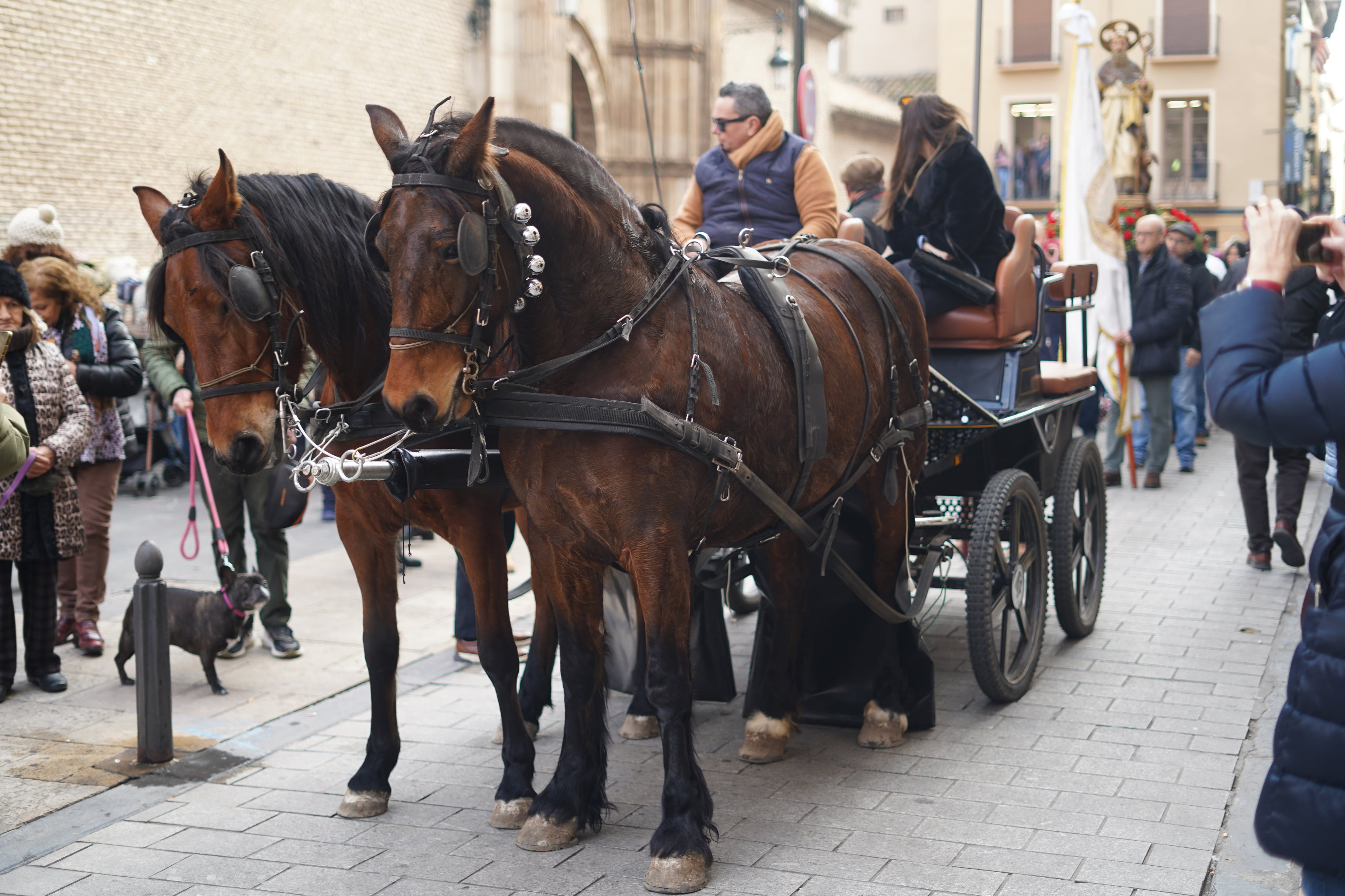 Dos yeguas abriendo la procesión de San Antón en la plaza de San Pablo.