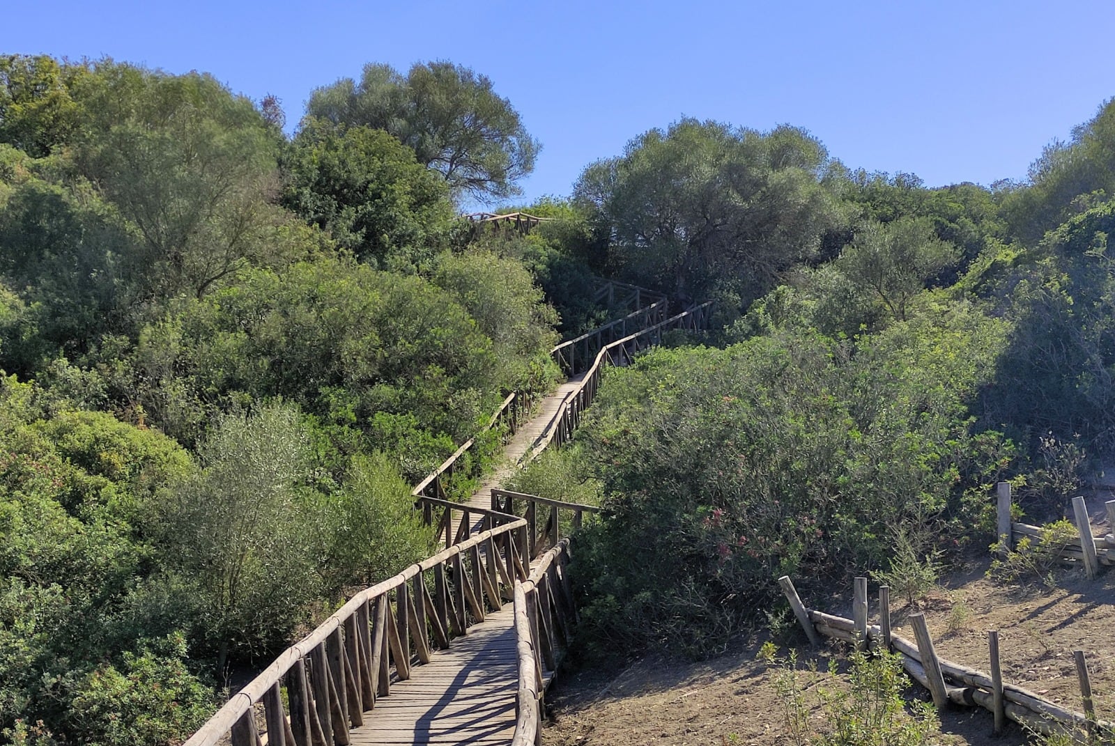 Recorrido por la Laguna de Medina