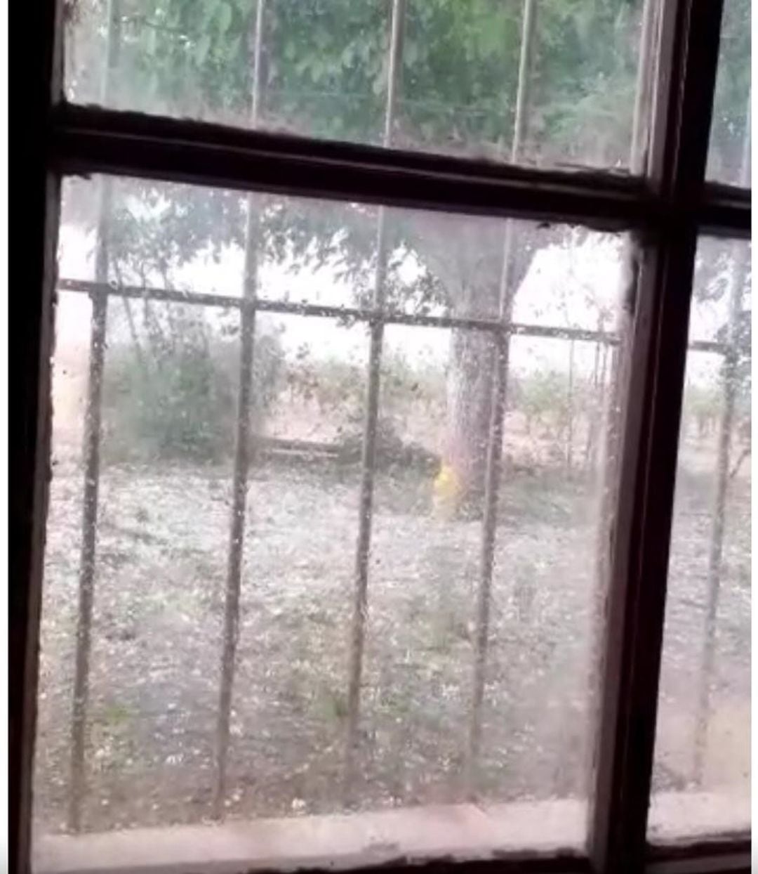 Tormenta de granizo en la parcela del agricultor