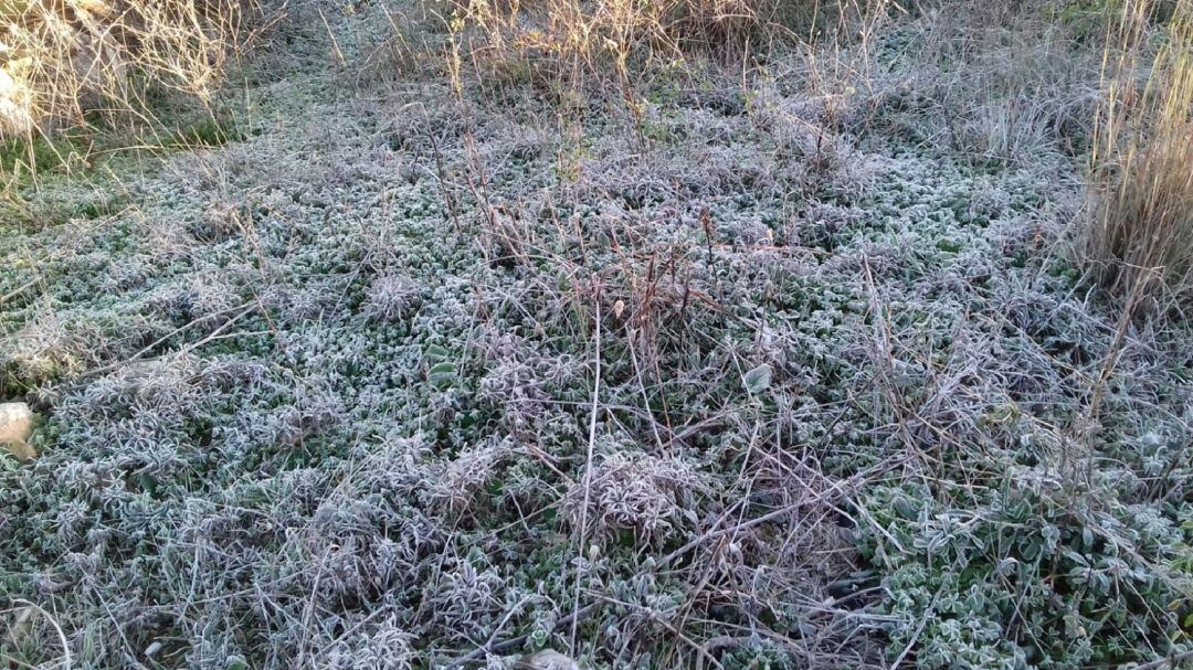 Enero ha sido un mes frío en todas las islas