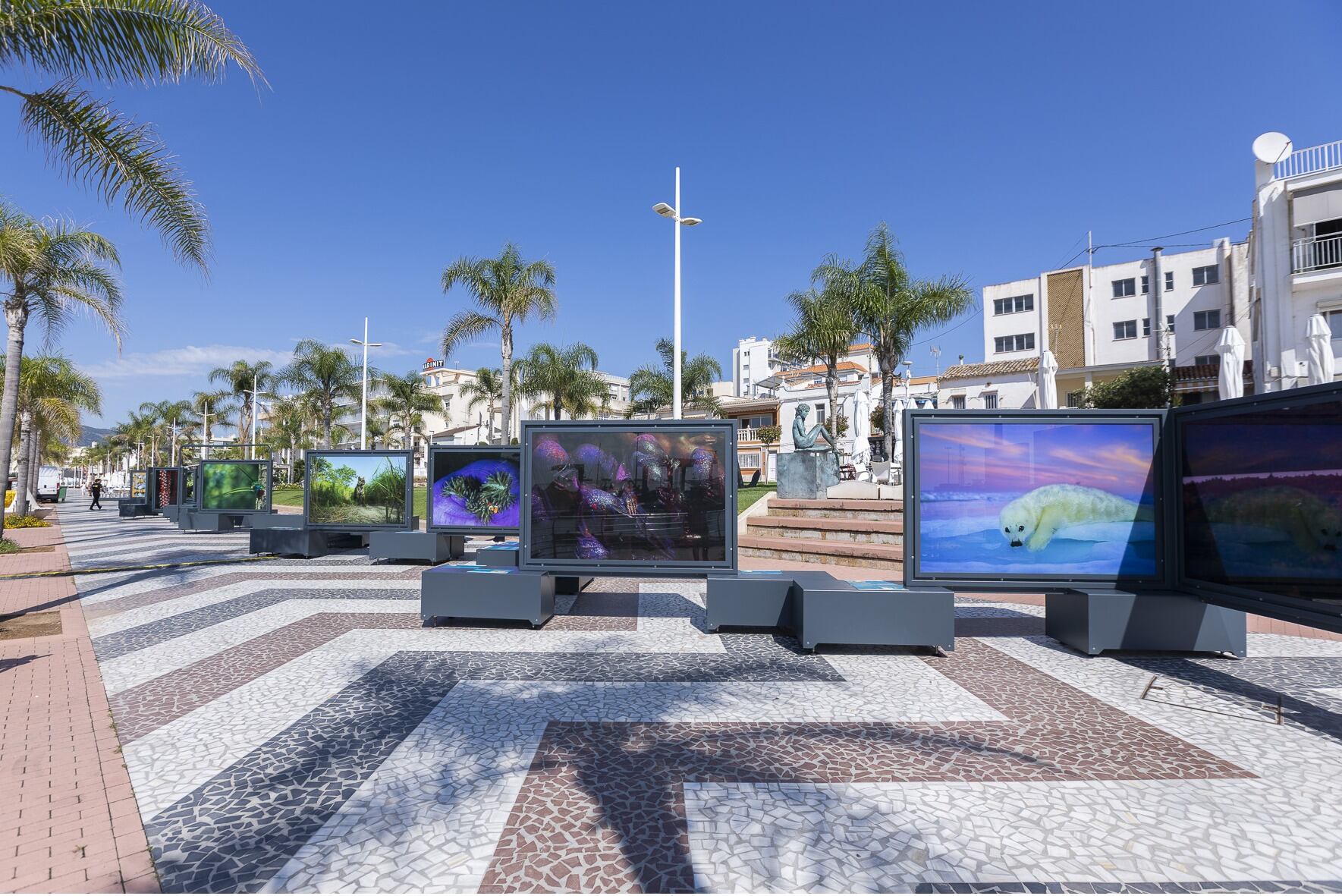 Exposición Colores del mundo en el Moll dels Borja.
