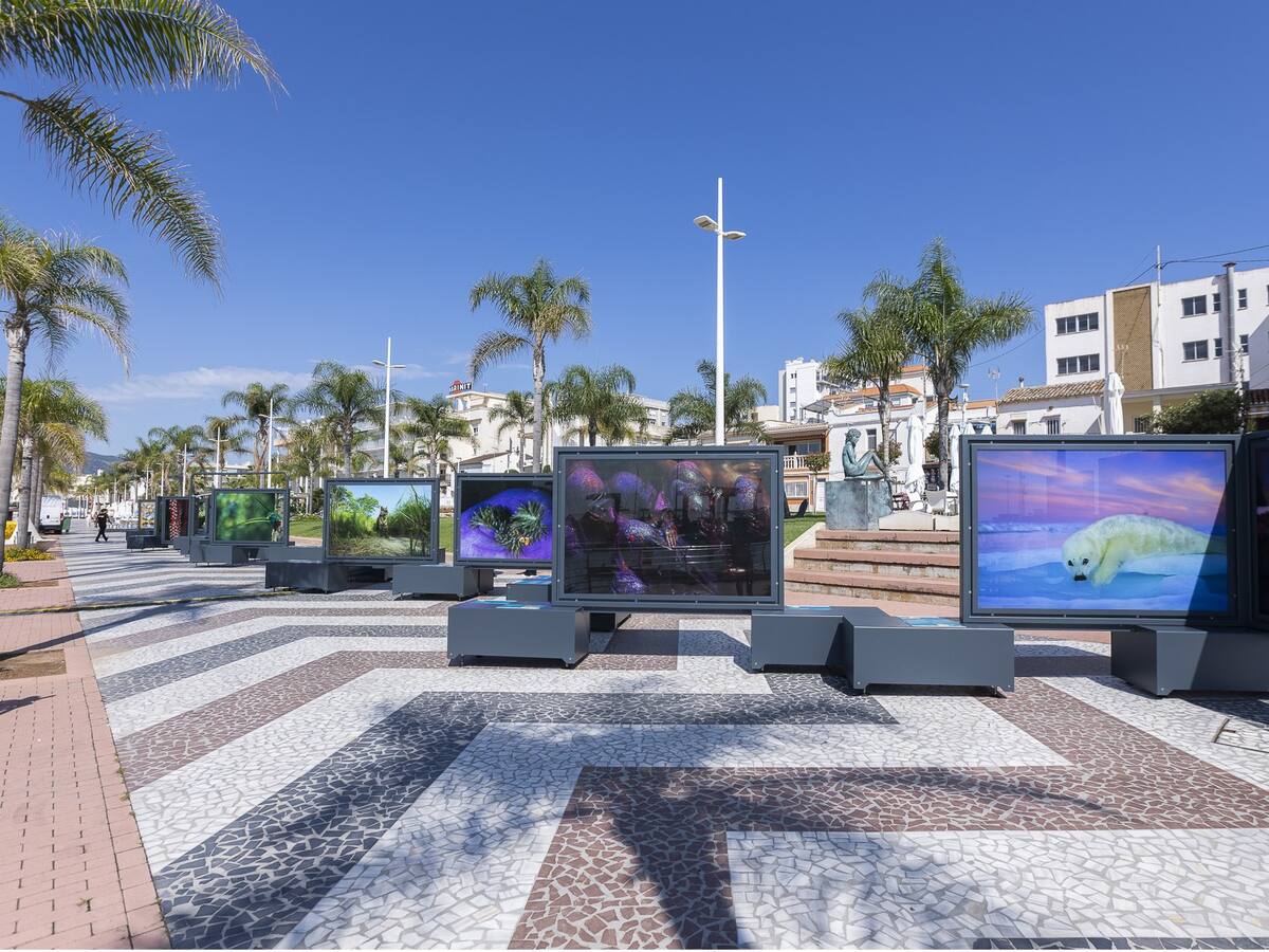 42 fotografías de National Geographic ocupan hasta el próximo 10 de julio el Moll dels Borja