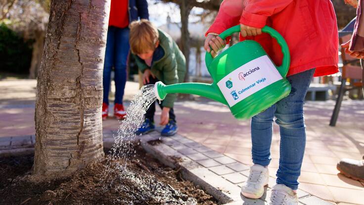 Hablamos con Felipe Mansilla, concejal de Medio Ambiente, sobre el proyecto 'Alcorques verdes'