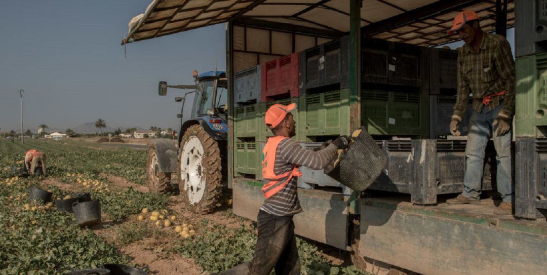 Imagen de archivo de unos temporeros trabajando en un campo de cultivo de la Región de Murcia