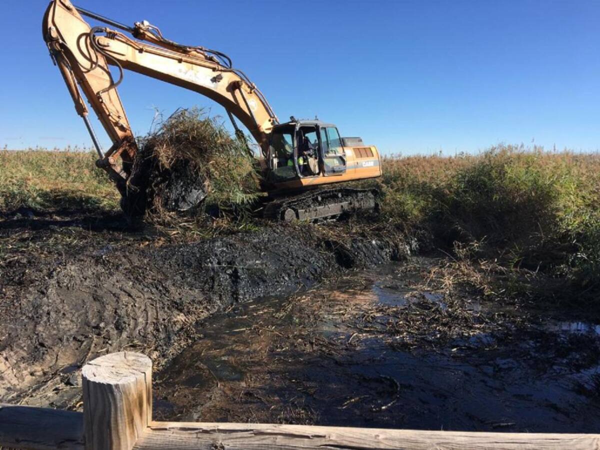 Mota del Cuervo limpia la Acequía Madre pensando en los agricultores