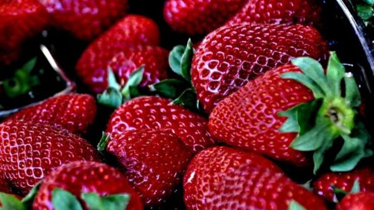 Entrevista a Mónica Díaz (20/08/2019)