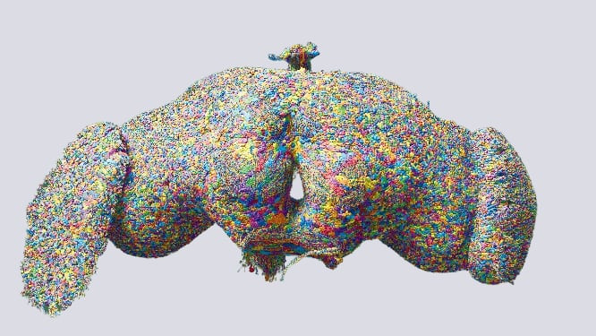 Representación 3D de las aproximadamente 140.000 neuronas del cerebro de la mosca de la fruta. / Fuente de datos: FlyWire.ai; representación de Philipp Schlegel (Universidad de Cambridge/MRC LMB)