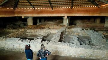 Investigan en Benalmádena(Málaga) un gran banquete de ostras celebrado en una villa romana hace unos 1.800 años