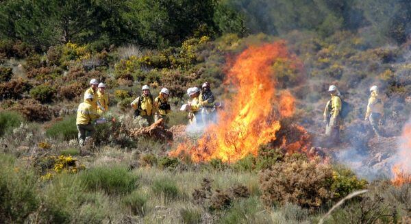 Efectivos del Infoca actuando en un incendio