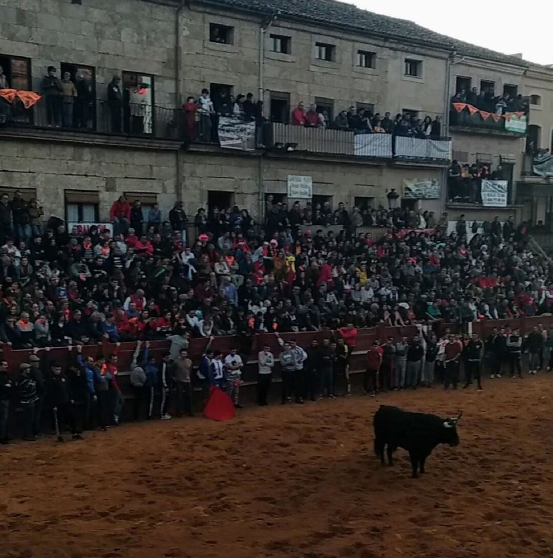 Imagen de la capea de este sábado en Miróbriga.