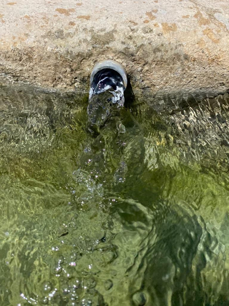 Chorro de la fuente de El Pradillo a pleno caudal