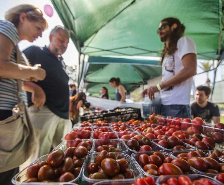 TO GO WITH AFP STORY BY DAPHNE ROUSSEAU - A picture taken on October 13, 2014 shows different varieties of bio cherry tomatoes displayed on a stand during the "Vegan Fest" fair in the Israeli city of Ramat Gan near Tel Aviv. Israelis are flocking to veganism, to the point where even the army now has options for vegan soldiers and a specialised food fair in Tel Aviv attracted 15,000 people in a day. Like vegetarians, vegans do not eat meat but they also eschew all animal products -- including milk, eggs and honey -- with some refusing to wear leather or use cosmetics tested on animals. AFP PHOTO / JACK GUEZ