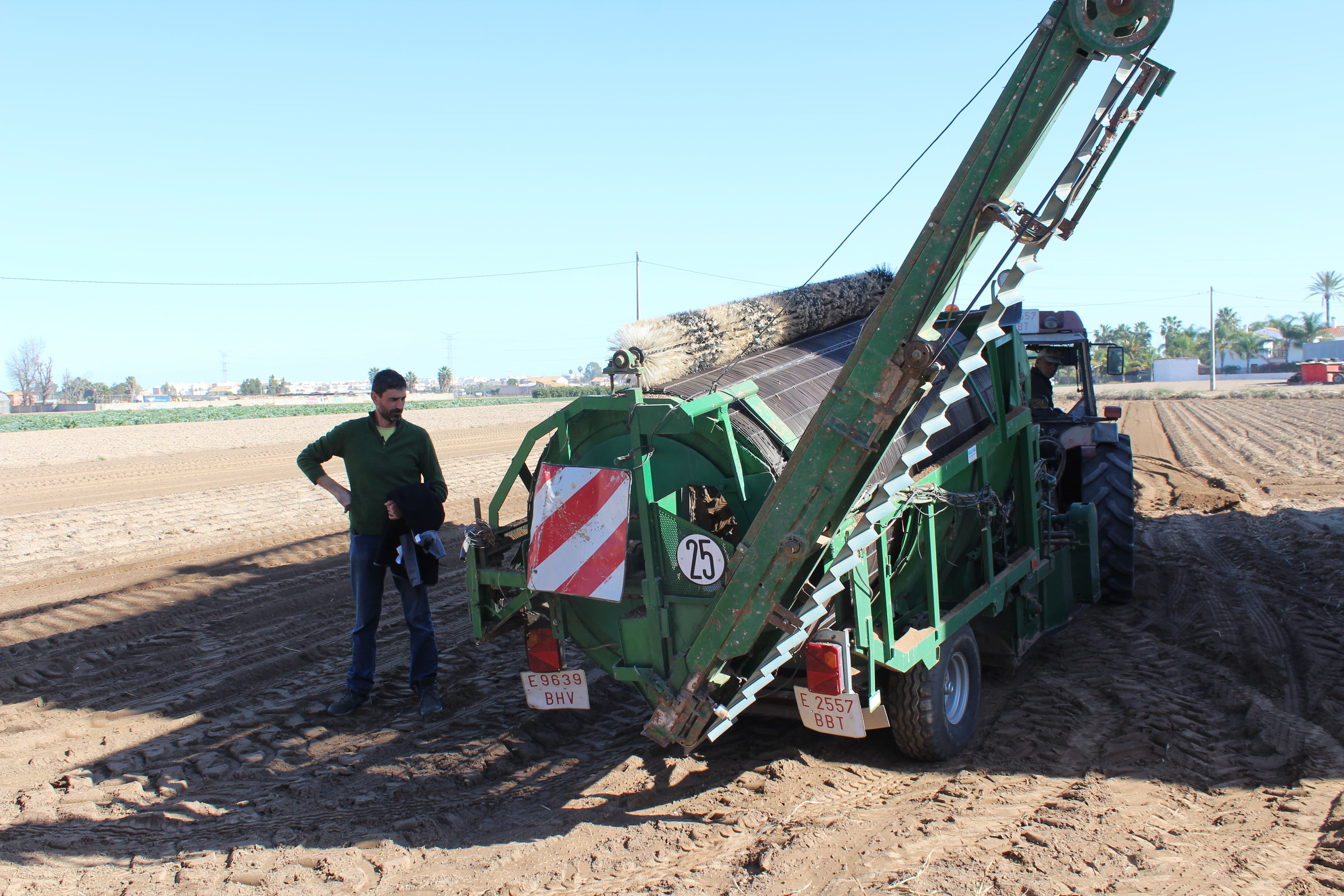 Campo de chufa en l'Horta Nord en una imagen de archivo.