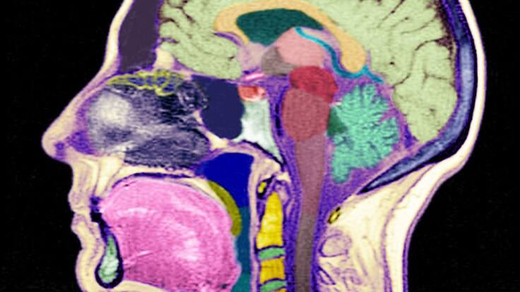 Entrevista a Guillermina López-Bendito, ganadora Premio Fundación Sabadell a la Investigación Biomédica