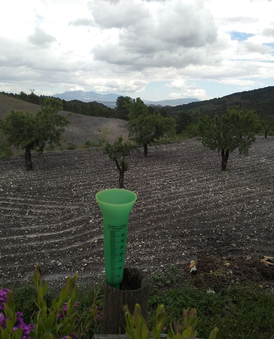 Las lluvias en Lorca.