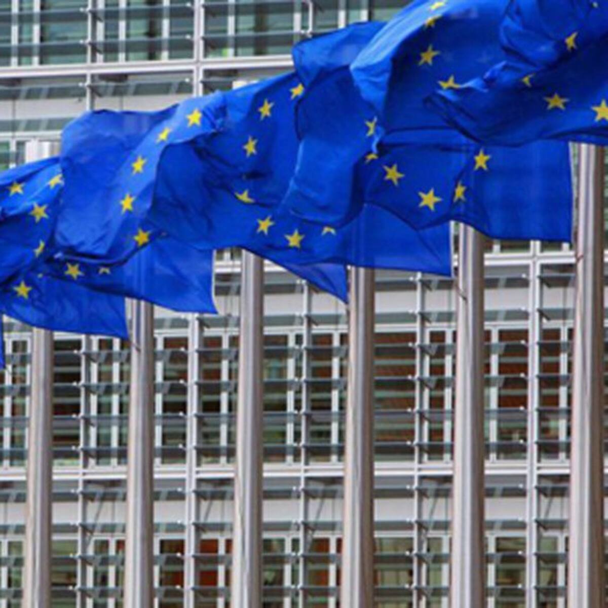 Europa avala al Consell