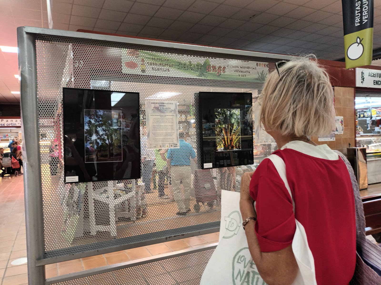 Exposición Arboles del Mercado