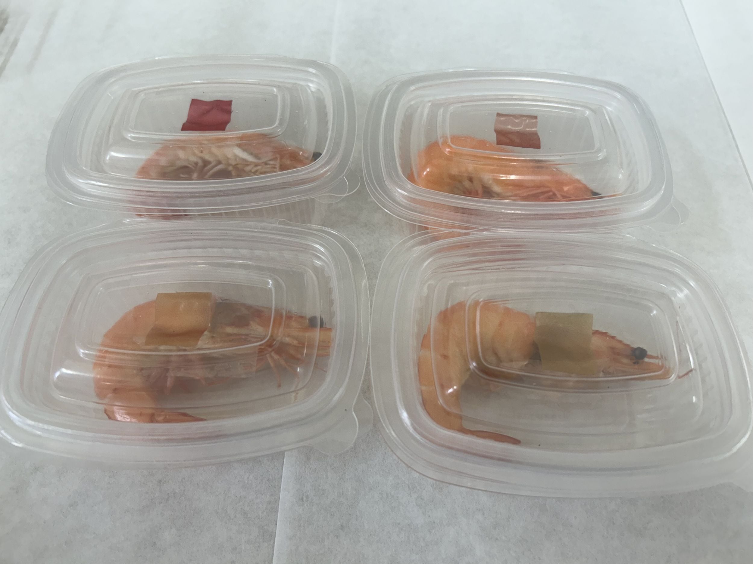 Pruebas con langostino donde se pueden ver los cambios de color del biosensor (en rojo el producto fresco y en amarillo-verdoso pasados dos días)