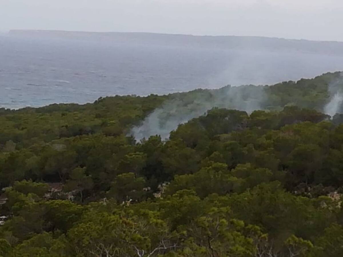 Susto en Formentera por un incendio que ha calcinado una hectárea de bosque en s'Estufador