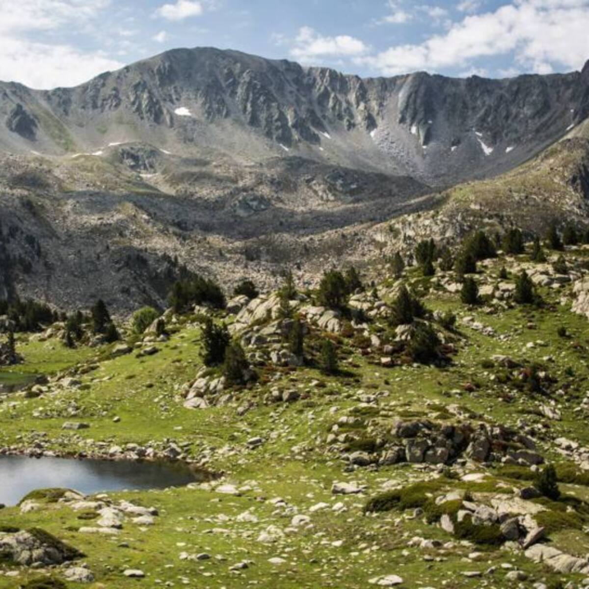 L'executiu presentarà aviat un projecte de protecció del territori de la mà d'un comú