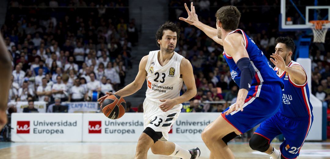Sergio Llull, durante un partido ante el Anadolu Efes en la Euroliga