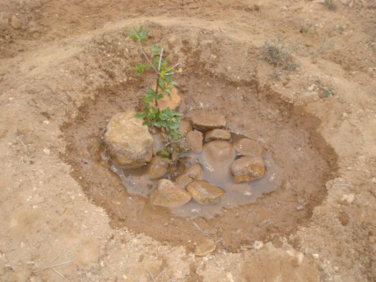 Asociaciones lorquinas se movilizan para la regeneración de la Sierra del Almirez