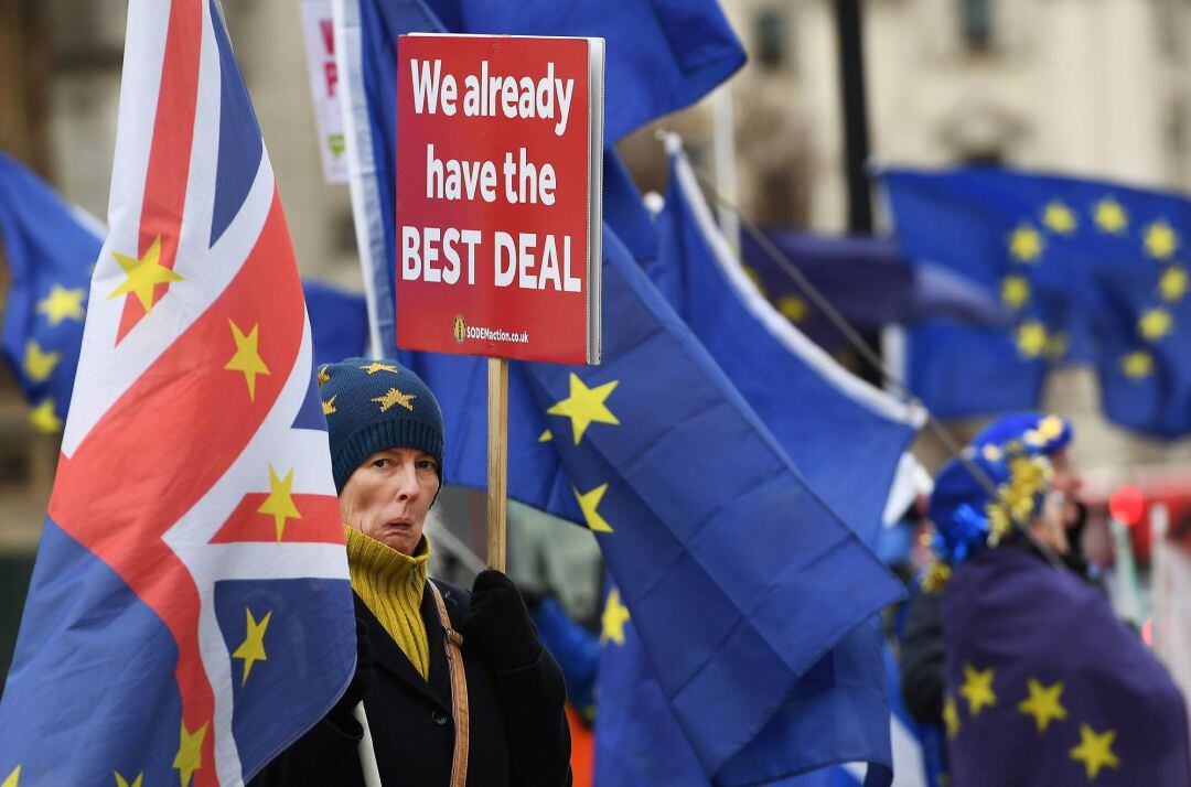 Activistas pro-UE se manifiestan a las puertas del Parlamento para pedir un referéndum en Londres (Reino Unido)