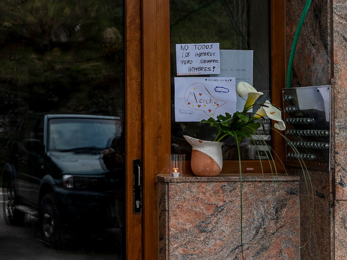 VioGén mantenía inactivos los expedientes del agresor de Pedreña porque "ya no había riesgo" para sus anteriores víctimas