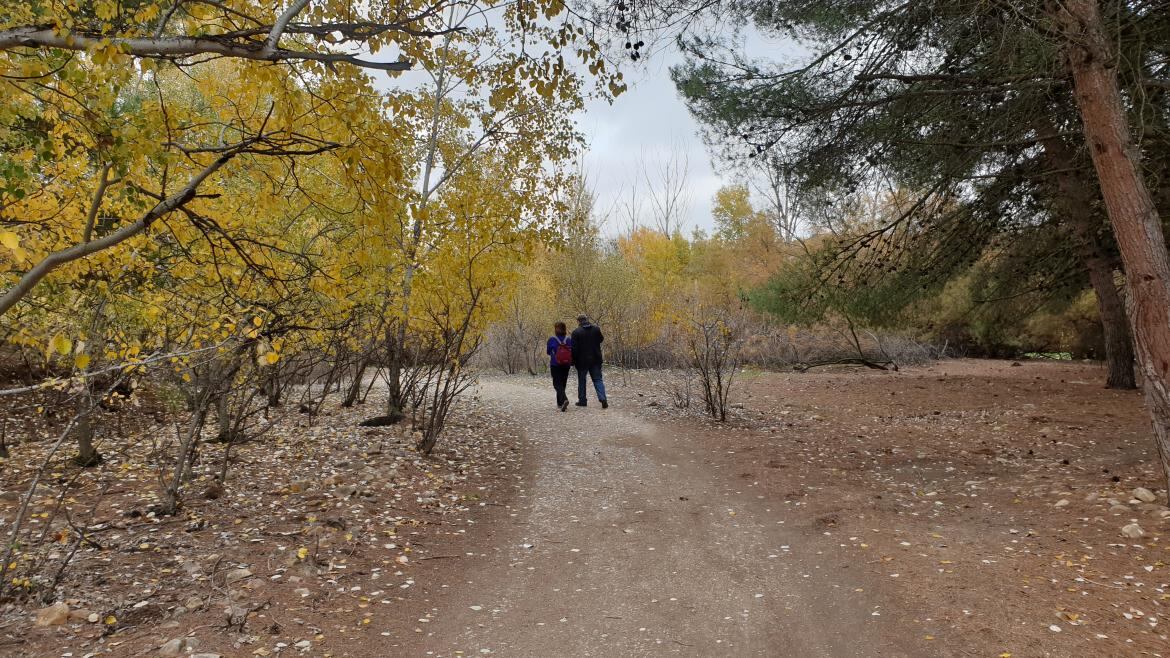 Los trabajos de Arco Verde han recuperado decenas de hectáreas de terreno natural