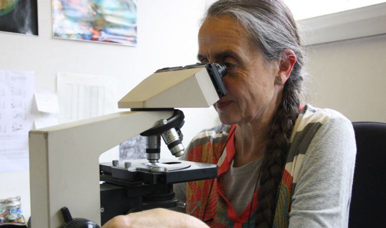 Jordina Belmonte, corrdinadora de la Xarxa Aerobiològica de Catalunya