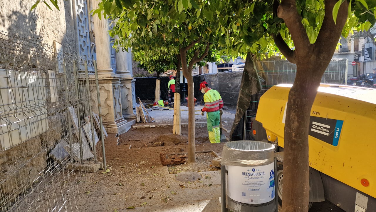 Labores de trasplantado de dos naranjos ubicados en la Plaza de la Universidad, en pleno centro de Granada