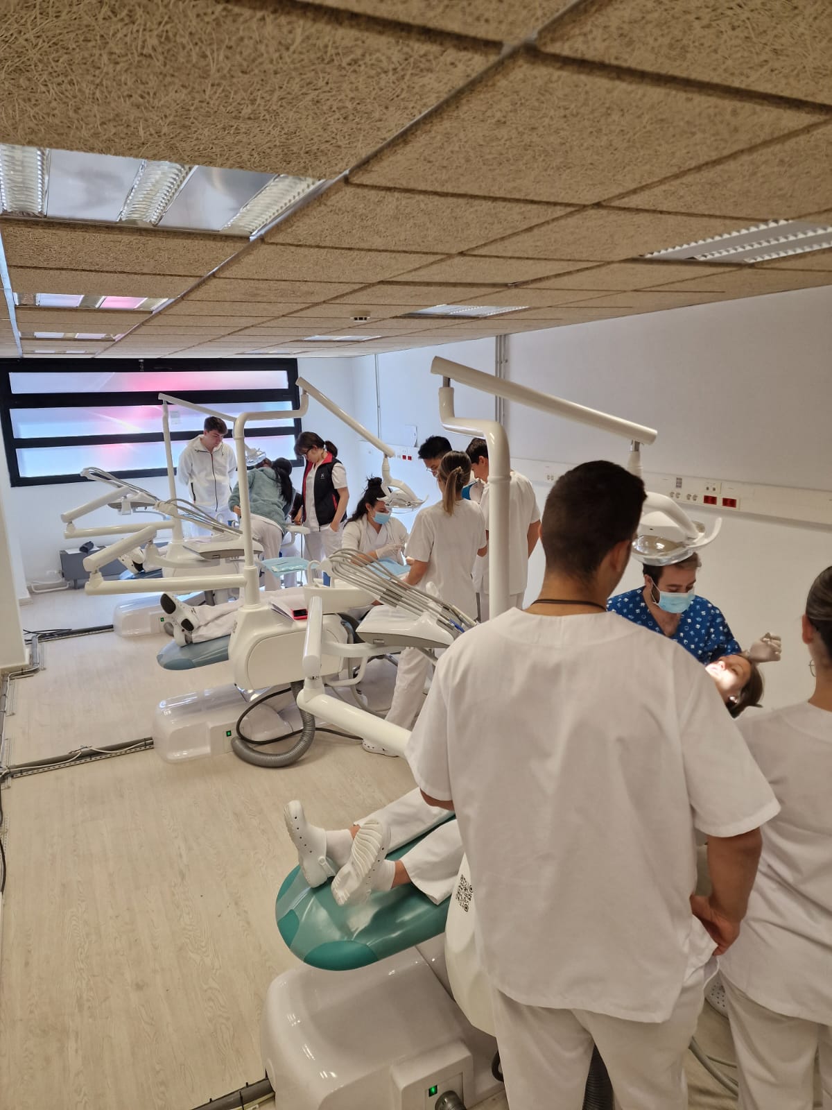 Els alumnes que cursen la FP de Tècnic en Cures Auxiliars d’Infermeria.