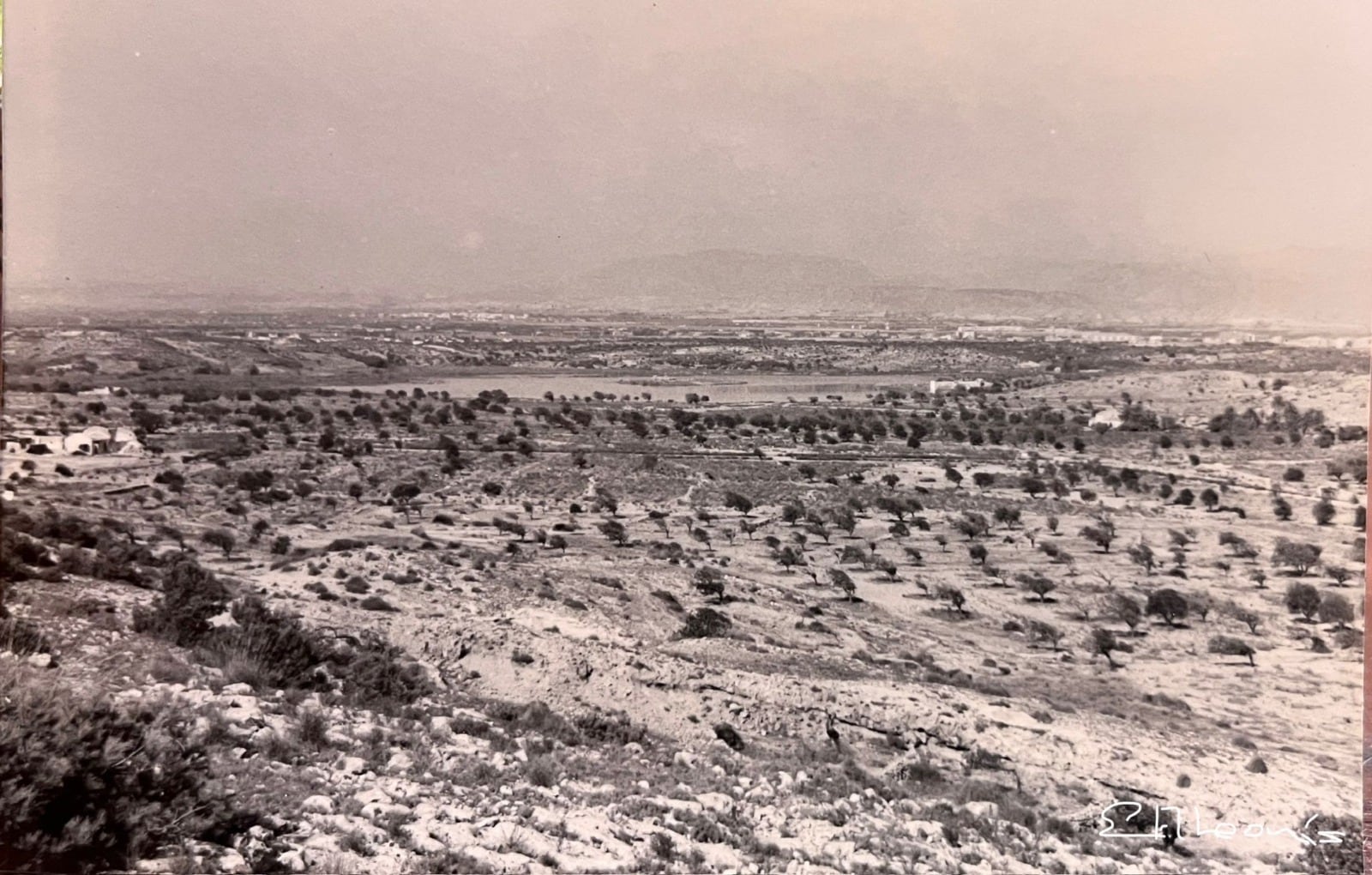 Concurso fotografía