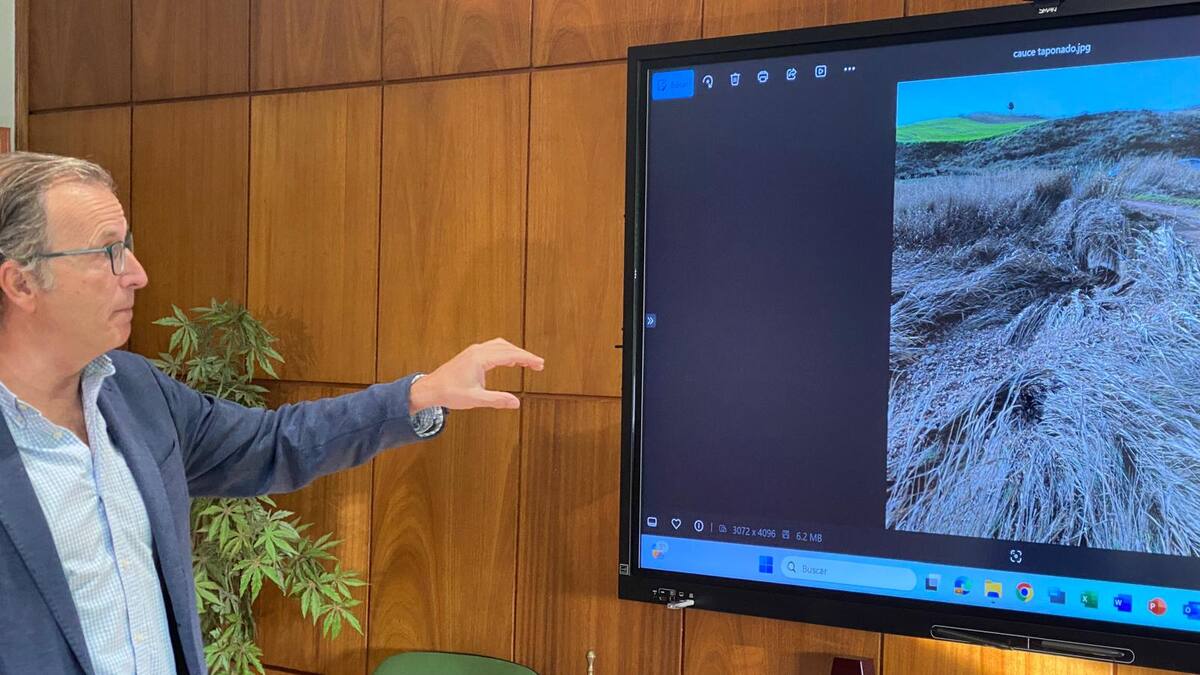 Los agricultores acusan a la Confederación del Tajo de "eludir su responsabilidad" en la limpieza de cauces