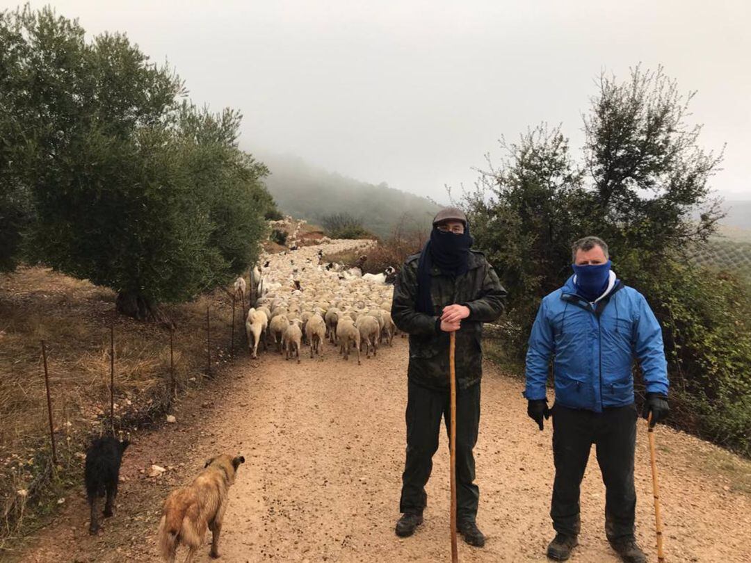 Diputados jiennenses se han unido durante dos jornadas a trashumantes en su camino hacia la Comarca del Condado