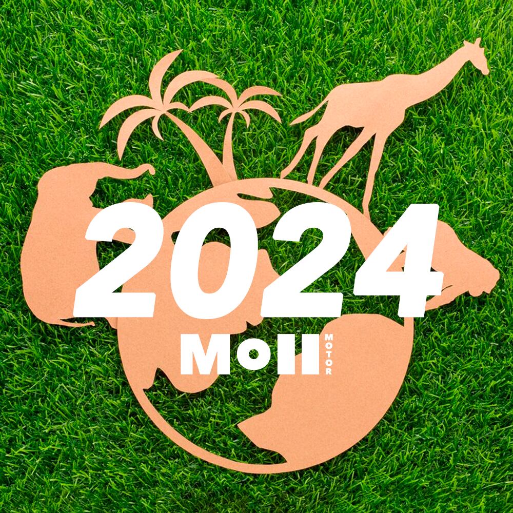 Consejos sostenibles para este 2024.