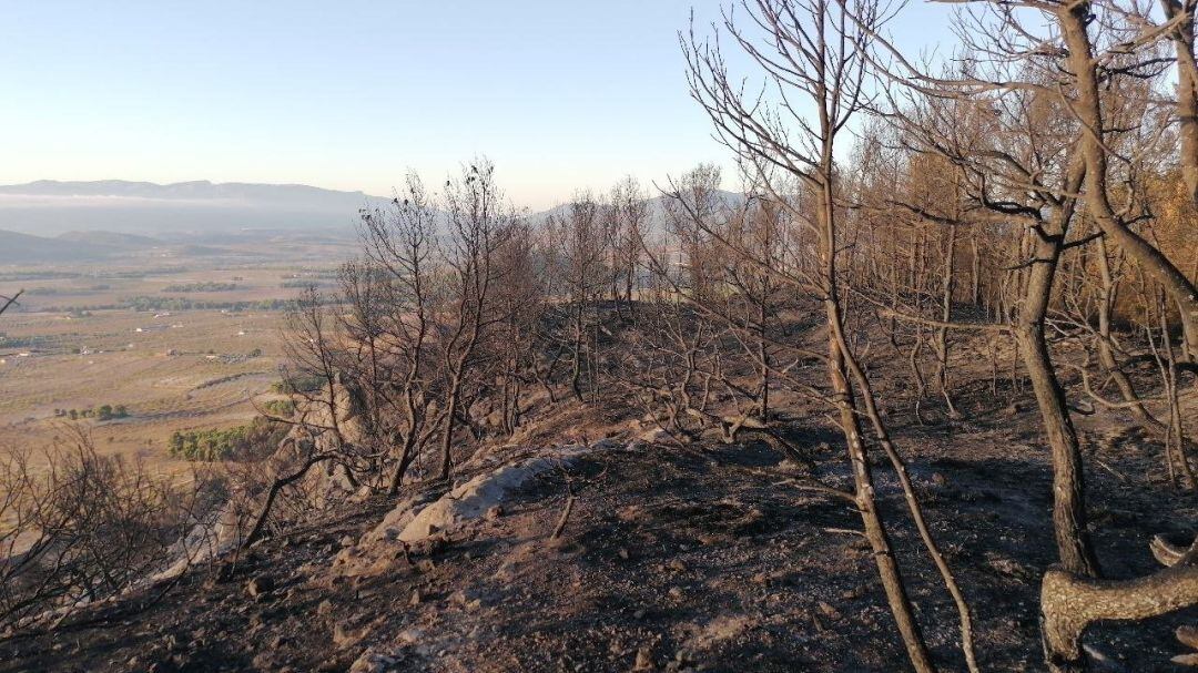 Extinguido el incendio forestal en la Sierra de la Silla (Mula) DIRECCIÓN GENERAL DEL MEDIO NATU
 03/09/2020