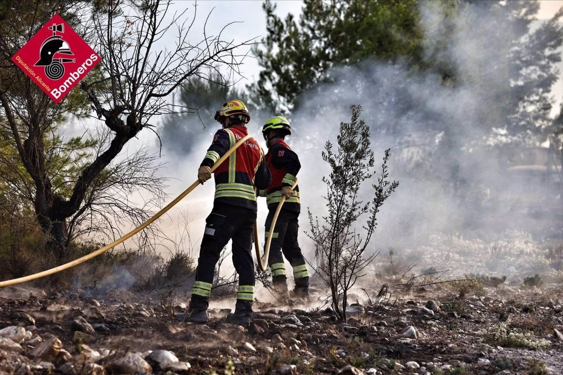 Bomberos trabajan en el incendio de Benasau (Alicante)