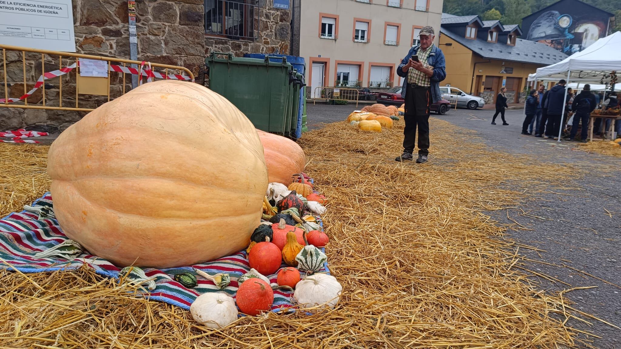 Feria de la Calabaza de Igüeña