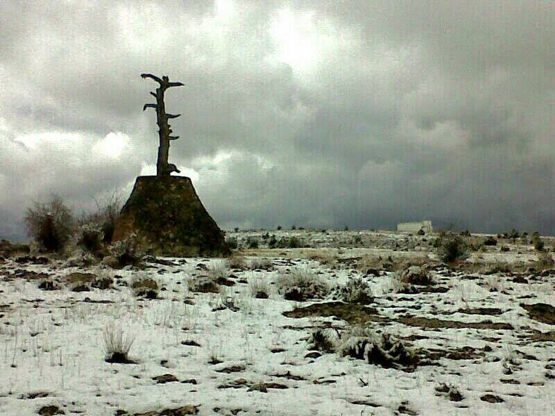 El Pino Seco, en El Pozuelo, al inicio de la ruta.