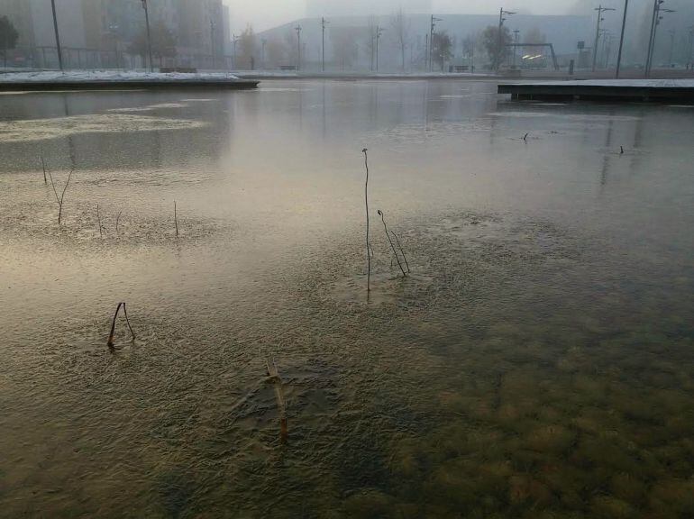 El estanque de Salburua ha amanecido helado