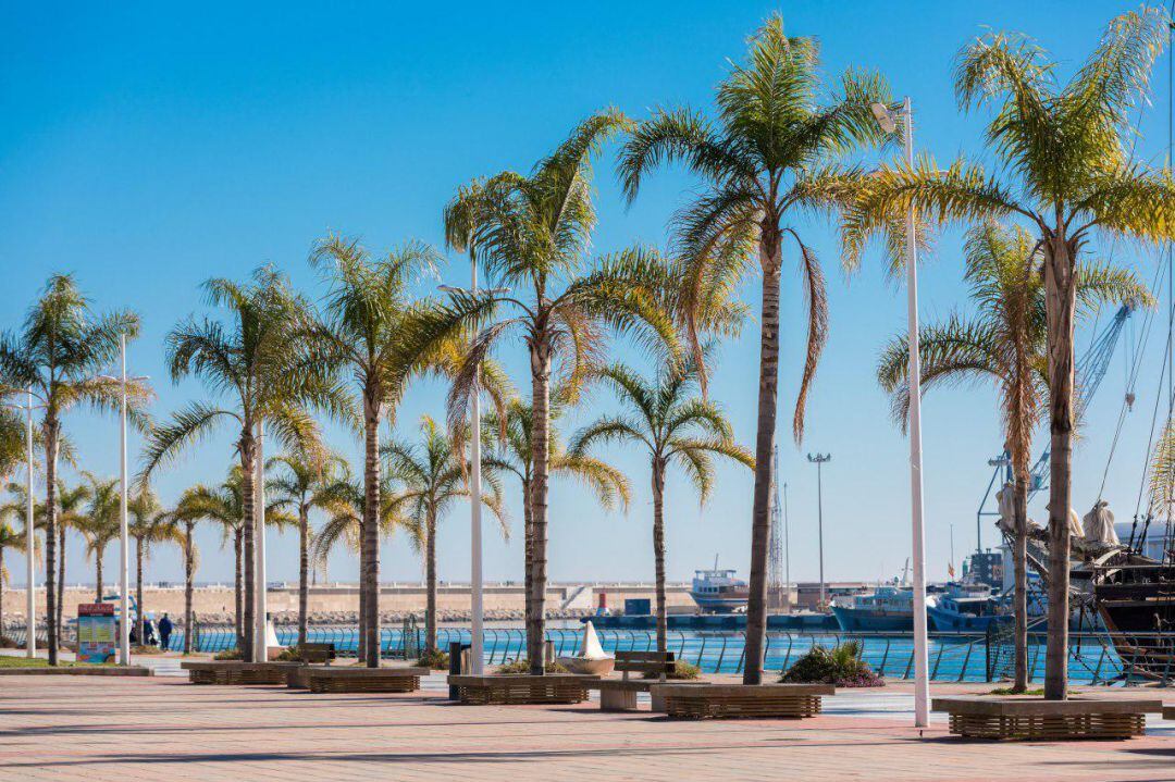 Imagen del puerto de Gandia 