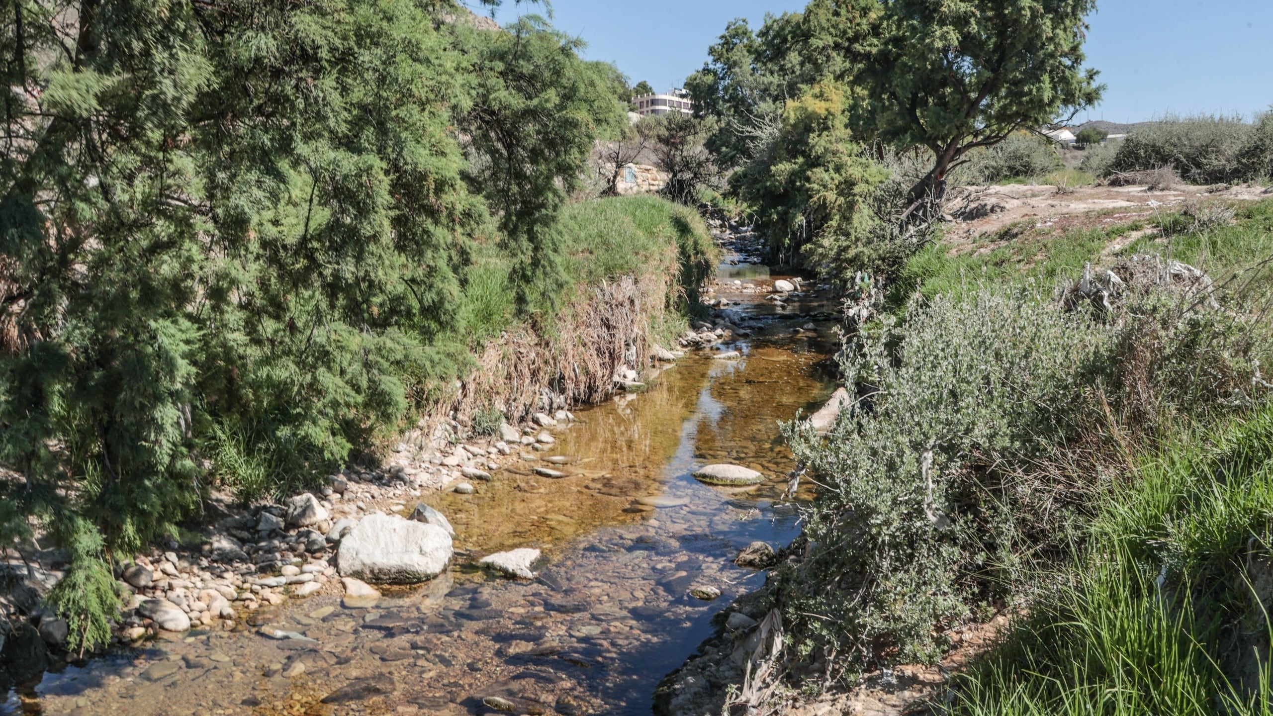 Río Vinalopó a su paso por Elda