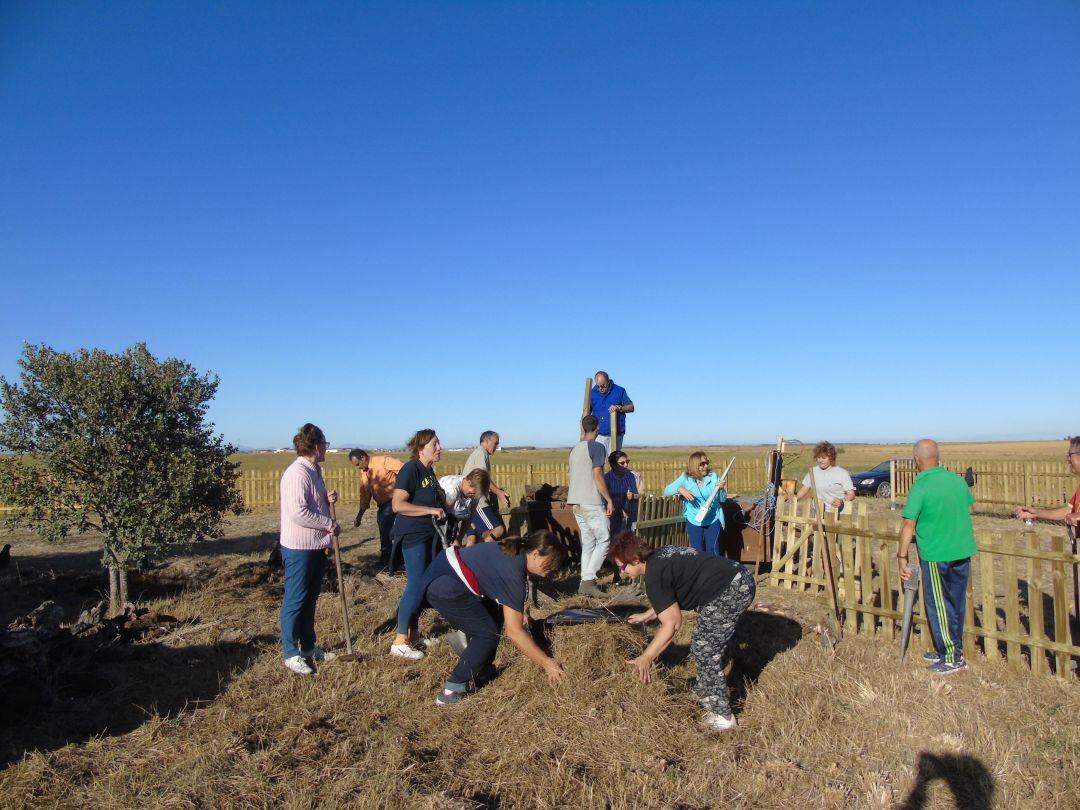 Actuación de voluntariado ambiental en Palencia
